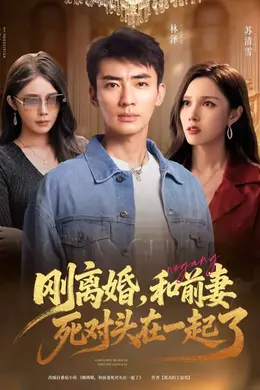 刚离婚和前妻死对头在一起海报