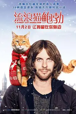 流浪猫鲍勃国语