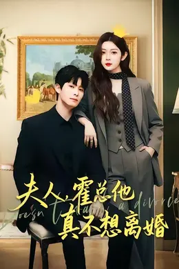 夫人，霍总他真不想离婚