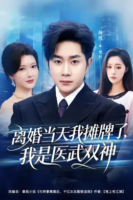 离婚当天我摊牌了，我是医武双神
