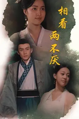 相看两不厌&amp;这个王妃不好惹