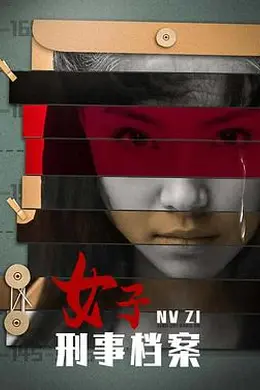 女子刑事档案