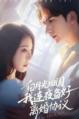 白月光回国我连夜备好离婚协议