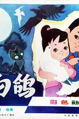 小白鸽