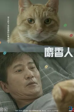 麝香人