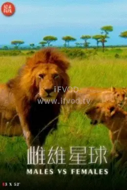 雌雄星球