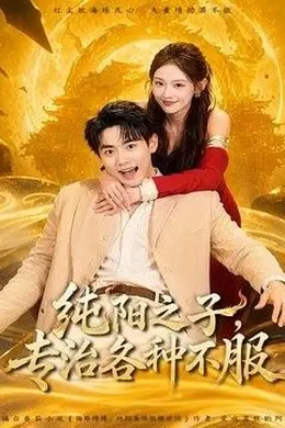 纯阳之子,专治各种不服海报