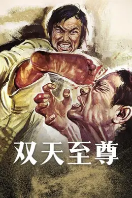 双天至尊