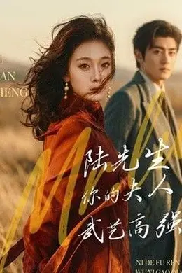 陆先生，你的夫人武艺高强