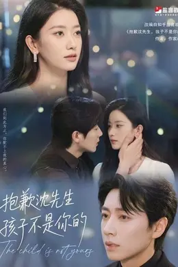 沈先生我们复合好不好
