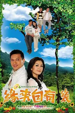 缘来自有机国语