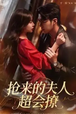 抢来的夫人超会撩