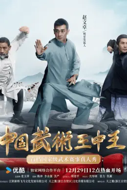 中国武术王中王