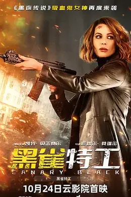 黑雀特工202