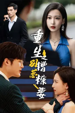 重生之别惹糟糠妻海报