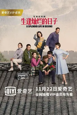 生逢灿烂的日子网络版