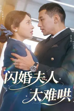 闪婚夫人太难哄