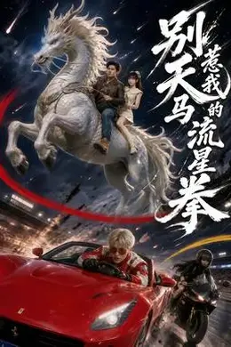 别惹我的天马流星拳