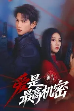 爱是最高机密