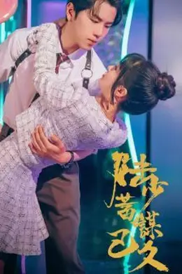 陆少蓄谋已久海报