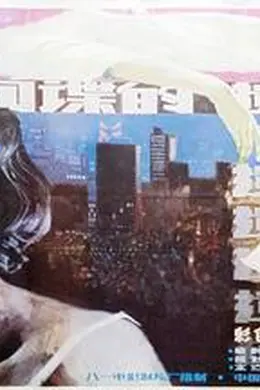 柳菲的遗书