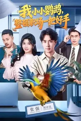 我小小鹦鹉，整顿职场一把好手