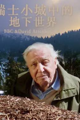 瑞士小城中的地下世界