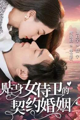 贴身女侍卫的契约婚姻