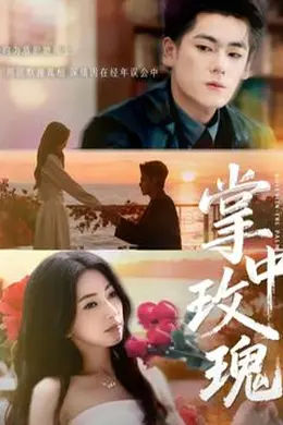 掌中玫瑰