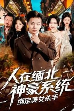 人在缅北,神豪系统绑定美女杀海报