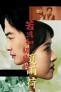 若只如初见的夏雨荷海报