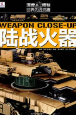 武器大百科-火器