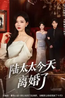 陆太太今天离婚了