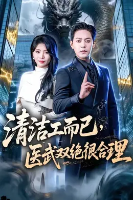清洁工而已，医武双绝很合理