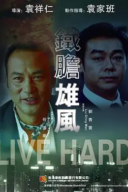 铁胆雄风(原声版)