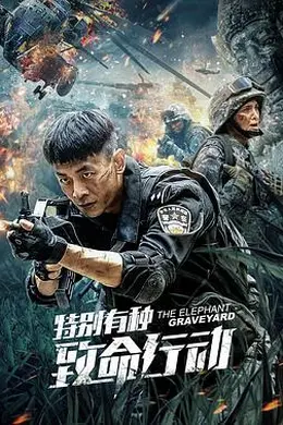 特别有种：致命行动