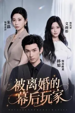 被离婚的幕后玩家