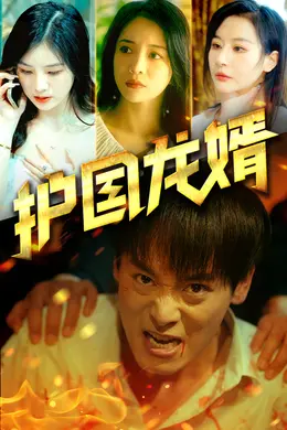护国龙婿