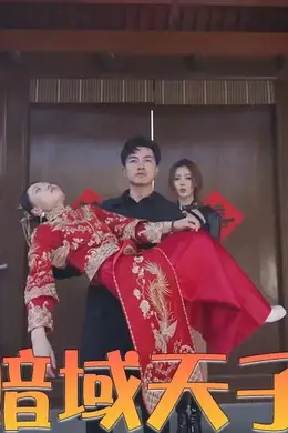 暗域天子