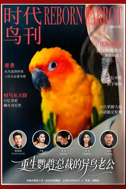 重生鹦鹉：总裁的异鸟老公