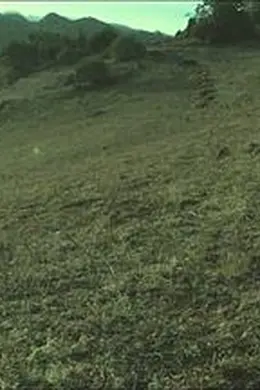 梦回远山