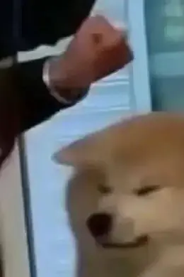 耍尽心机,他能翻红吗?