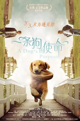 一条狗的使命（原声版）