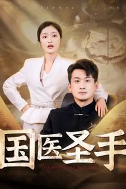 国医圣手88集