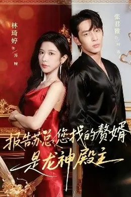 报告苏总，您找的赞婿是龙神殿主