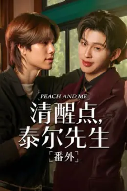 清醒点 泰尔先生番外篇