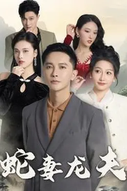 蛇妻龙夫海报