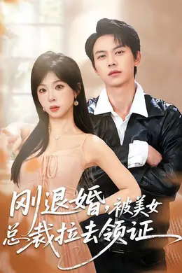 刚退婚，被美女总裁拉去领证