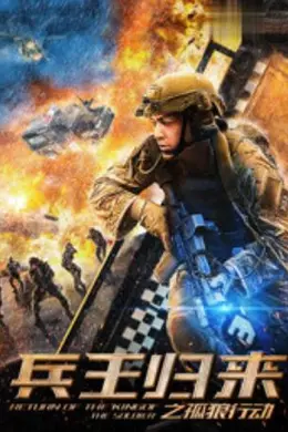 兵王归来之孤狼行动