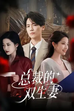 总裁的双生妻